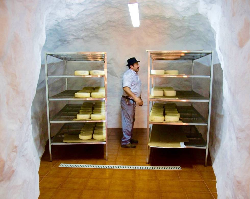 CRISTOBAL MORENO EN UNA CAVA DE MADURACIÓN ISIDORO JIMENEZ