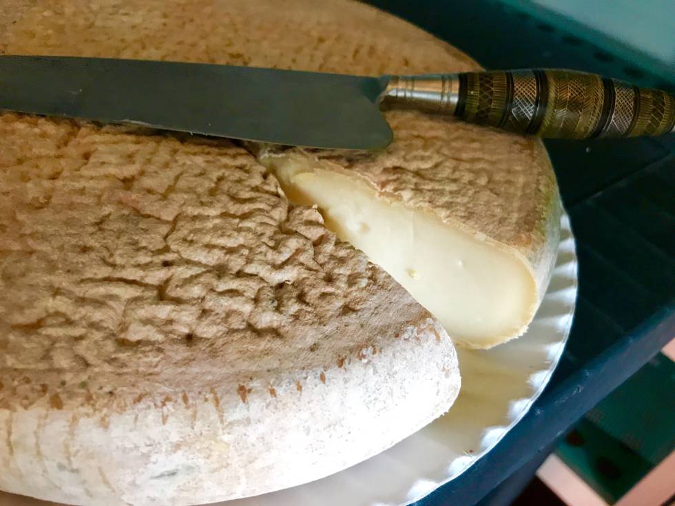 QUESO DE MEDIA FLOR CAPEL