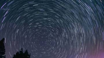 Cinco lecturas para esta tarde de sábado