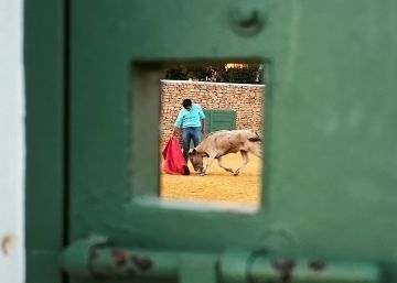 El toreo, por una rendija El toreo, por una rendija