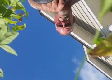 ¿Cómo ha llegado este teléfono móvil al jardín de este señor? ¿Cómo ha llegado este teléfono móvil al jardín de este señor?