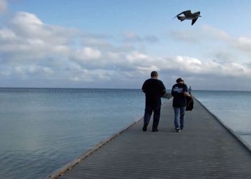 36 horas en... Key West 36 horas en... Key West