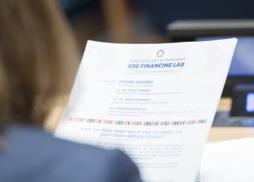 El papel del sector privado en los ODS El papel del sector privado en los ODS