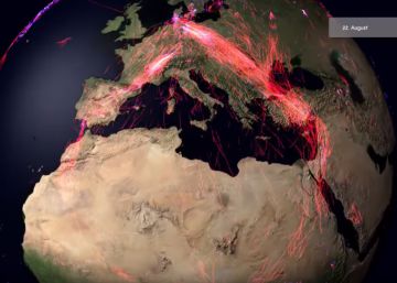 Los animales muestran un planeta sin fronteras Los animales muestran un planeta sin fronteras