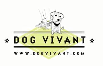Encuentra lugares ideales para ir con tu perro
