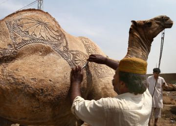 Decorado para el matadero