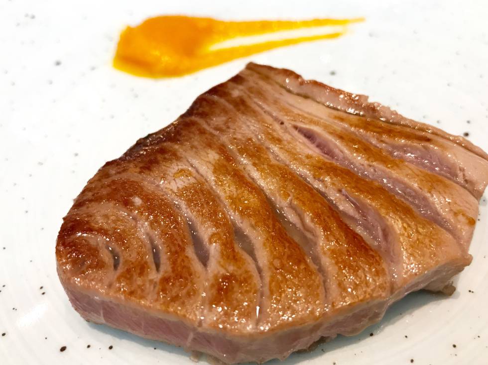 MORRILLO DE ATÚN A LA PLANCHA CAPEL