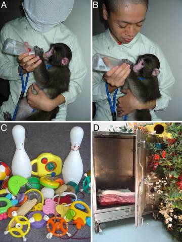 Imágenes de las condiciones de un experimento similar de hace una década.