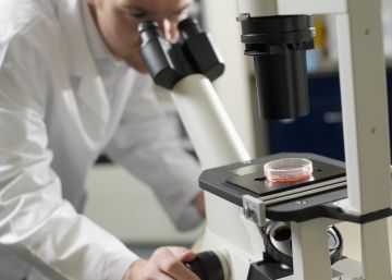 La terapia genética, un arma contra la leucemia que dispara el optimismo