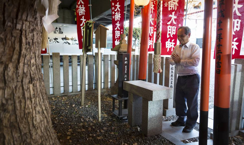 Un hombre reza en el santuario dedicado al árbol alcanforero de Kayashima.