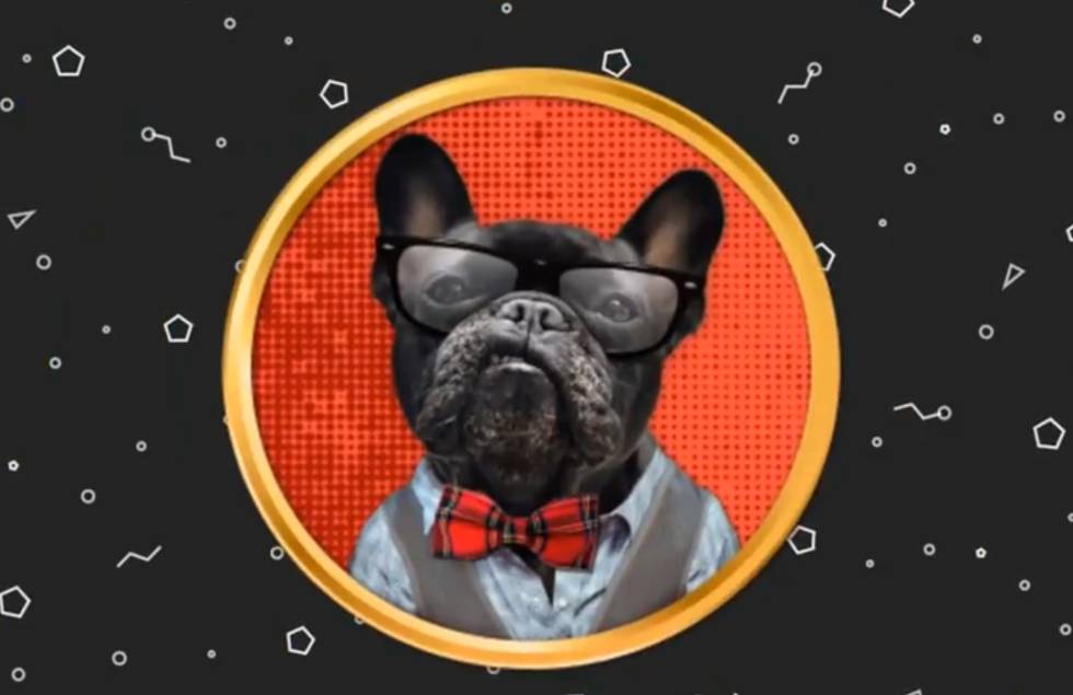 Una web para facilitar la adopción de mascotas