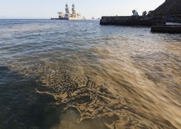La historia real tras las microalgas fétidas que han invadido Canarias