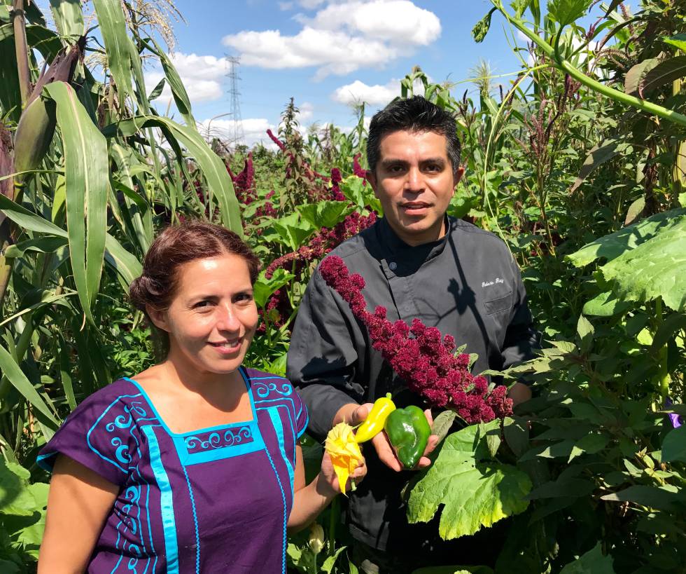 MARÍA FERNÁNDEZ Y ROBERTO RUIZ. EN SUS MANOS, RESPECTIVAMENTE, FLOR DE CHILACAYOTE, CHILE DE AGUA Y CHILE POBLANO. ENTRE AMBOS UN TALLO DE AMARANTO CAPEL