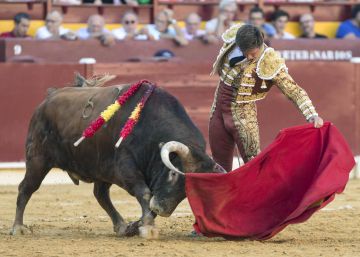 ¿Se deben prohibir los toros?