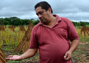 Comercio justo: con los ojos puestos en el futuro Comercio justo: con los ojos puestos en el futuro