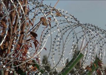 Políticas migratorias que matan