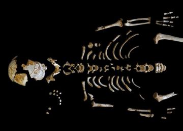 Así crecía el cerebro de un niño neandertal Así crecía el cerebro de un niño neandertal