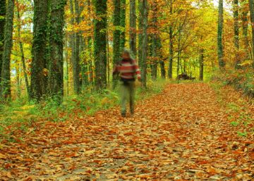 Equinoccio de otoño: ¿realmente se ha acabado el verano?