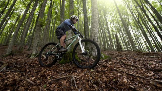 Guía para comprar la bicicleta que buscas