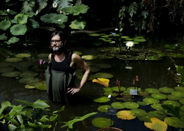 Carlos Magdalena, o ressuscitador das plantas esquecidas