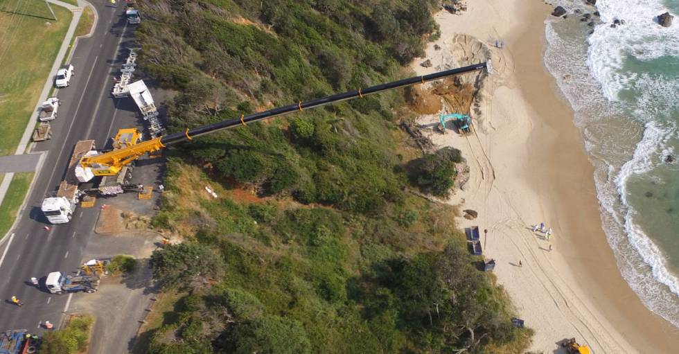 Una grúa coloca la excavadora en la playa para sacar la ballena.