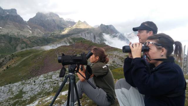 Varios técnicos observan aves en el Pirineo aragonés.