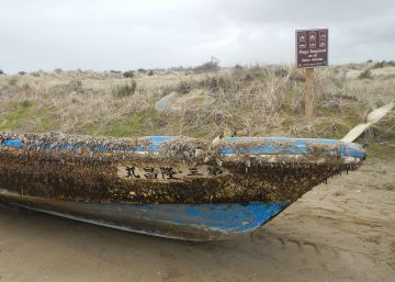 Tsunami de 2011 provoca uma das maiores migrações marinhas da história Tsunami de 2011 provoca uma das maiores migrações marinhas da história
