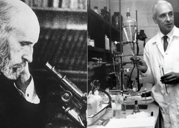 Por qué España solo ha ganado dos Nobel de ciencia Por qué España solo ha ganado dos Nobel de ciencia