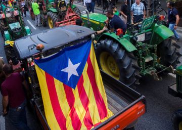 Per què surten al carrer?