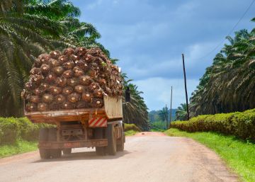 Agroindustria y violencia