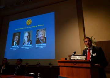 Los descubridores del ‘reloj interno’ del cuerpo, Nobel de Medicina de 2017