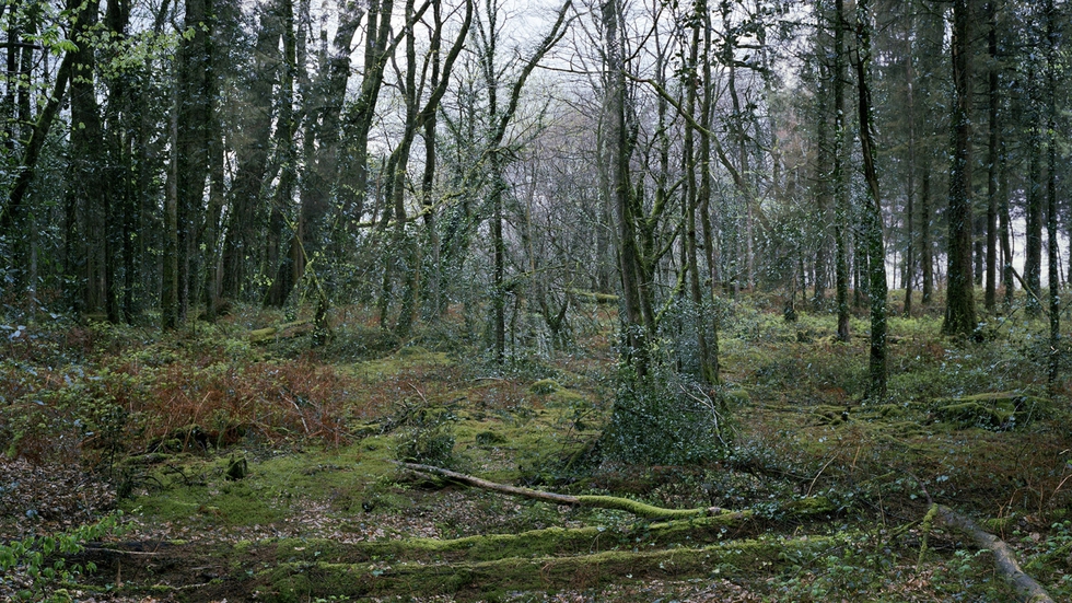 Bosque de Duault, en la región bretona de Côtes-d’Armor, al norte de Francia.
