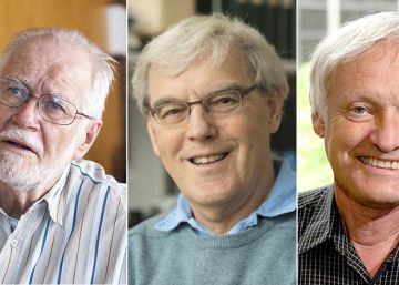 Premio Nobel de Química a un método para observar la vida privada de las moléculas