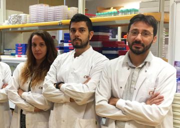 El Gobierno impide ‘in extremis’ que decenas de científicos de élite se vayan a la calle