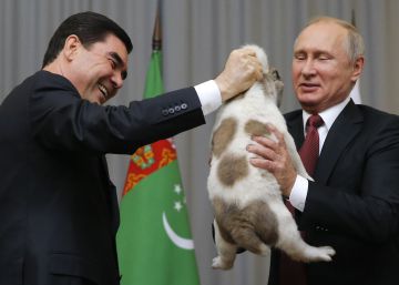 ¿Debe un animal ser un regalo?