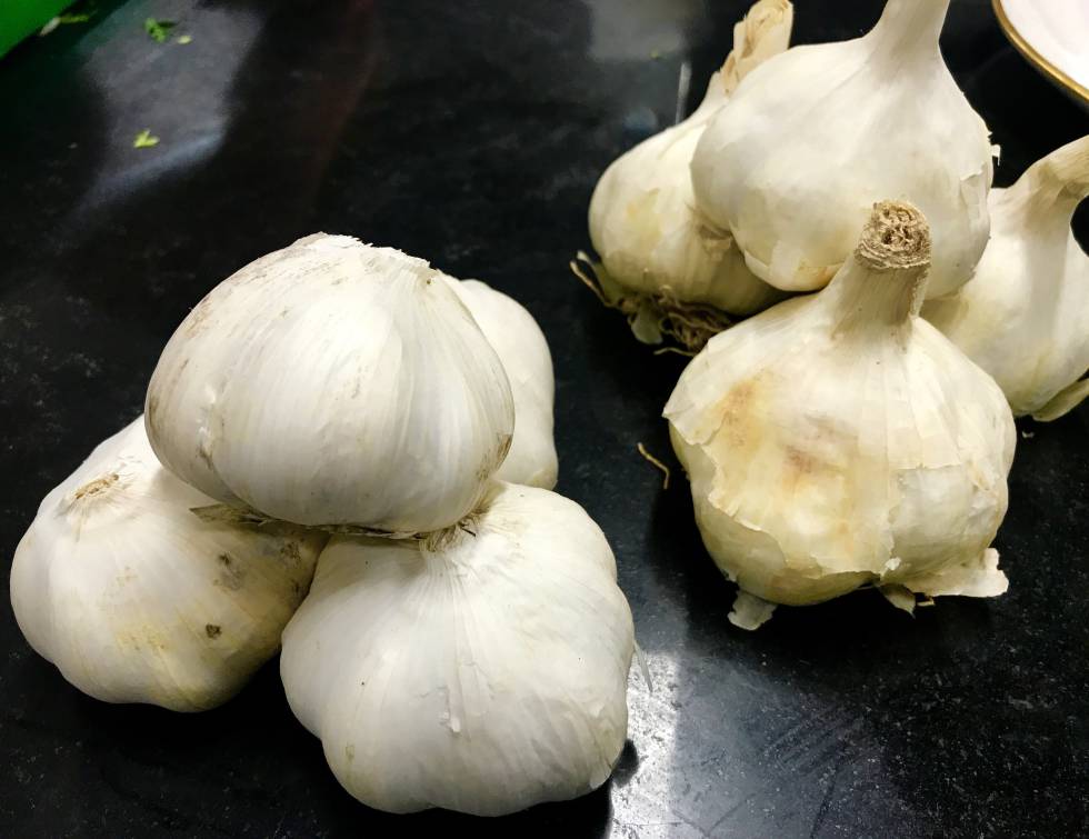 AJO BLANCO CHINO (IZQUIERDA) Y AJO BLANCO TRADICIONAL (DERECHA) CAPEL