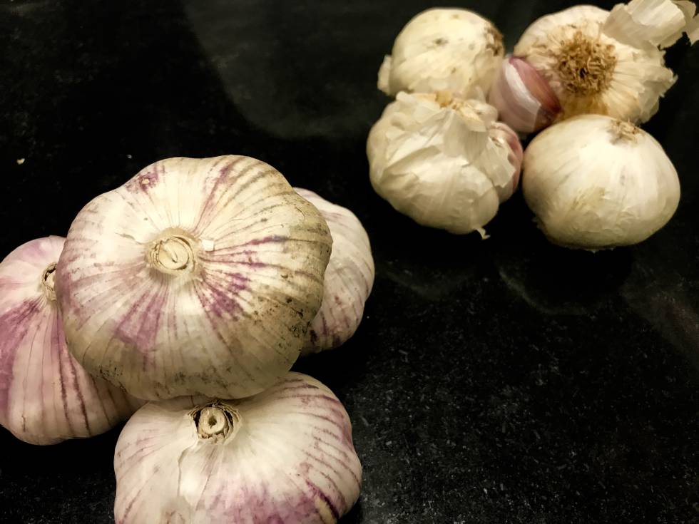 AJO VIOLETA CHINO (IZQUIERDA) Y MORADO TRSDICIONAL (DERECHA) CAPEL