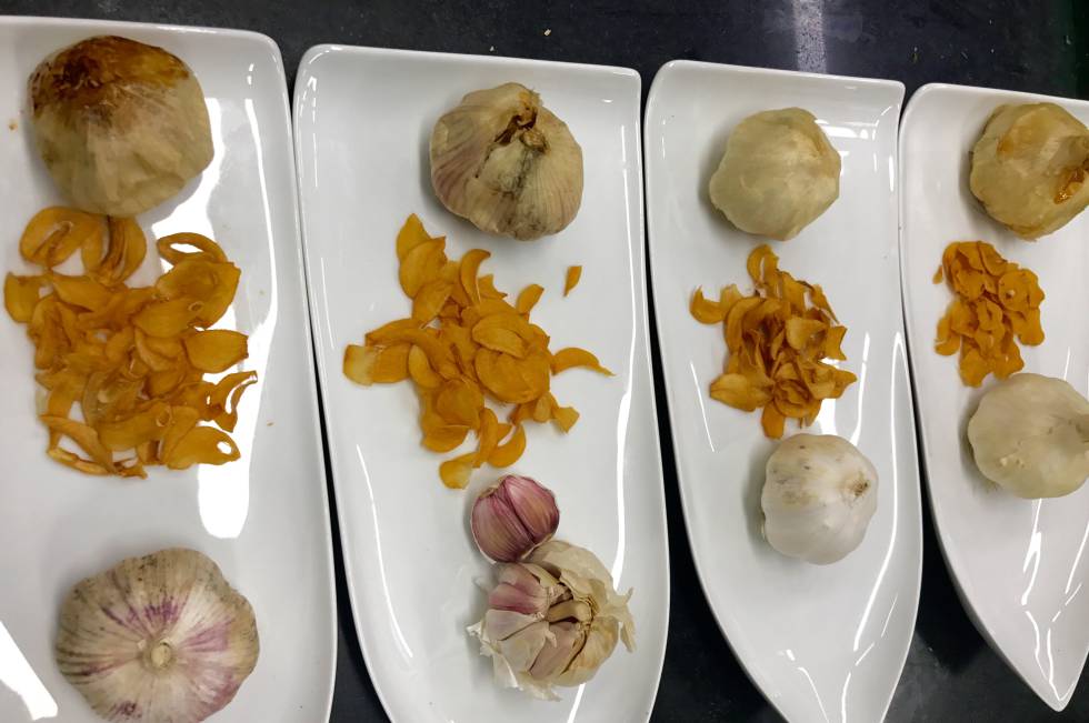 DE IZQUIERDA A DERECHA AJOS ASADOS Y FRITOS: VIOLETA CHINO; AJO MORADO TRADICIONAL; AJO BLNCO CHINO Y AJO BLANCO TRADICIONAL CAPEL