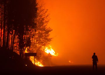 Ana y ‘Lucinda’: si los animales nos salvan, ¿cómo rescatarles del fuego?
