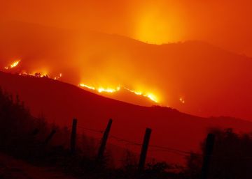 Crónica de una tragedia anunciada