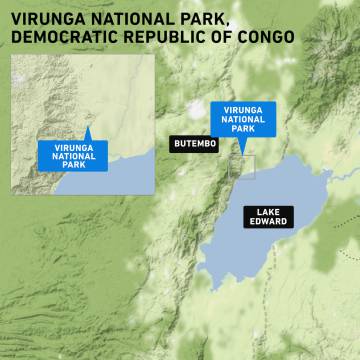 Las guardabosques de la República Democrática del Congo luchan por salvar a los últimos gorilas de montaña