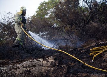 Cáncer: el riesgo invisible al que se enfrentan los bomberos