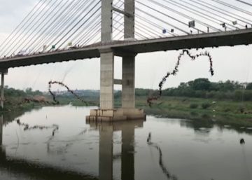 Salto masivo de un puente en Brasil para romper el récord Guinness