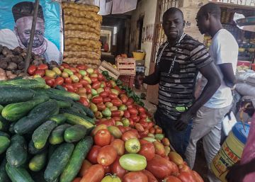 La ‘app’ senegalesa que revoluciona el comercio de productos agrícolas