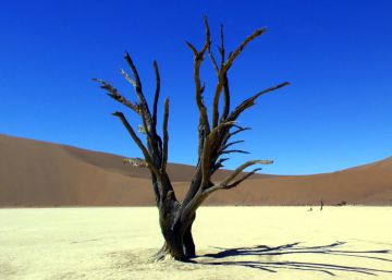 ¿Es este el desierto más bello del planeta?