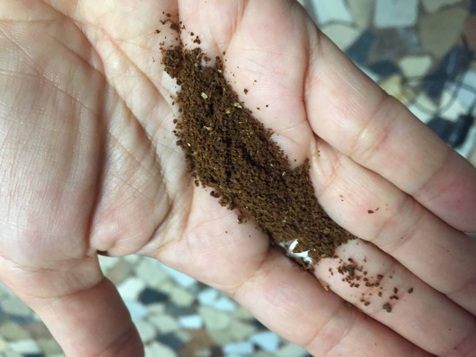Conoce a quien cultiva tu café