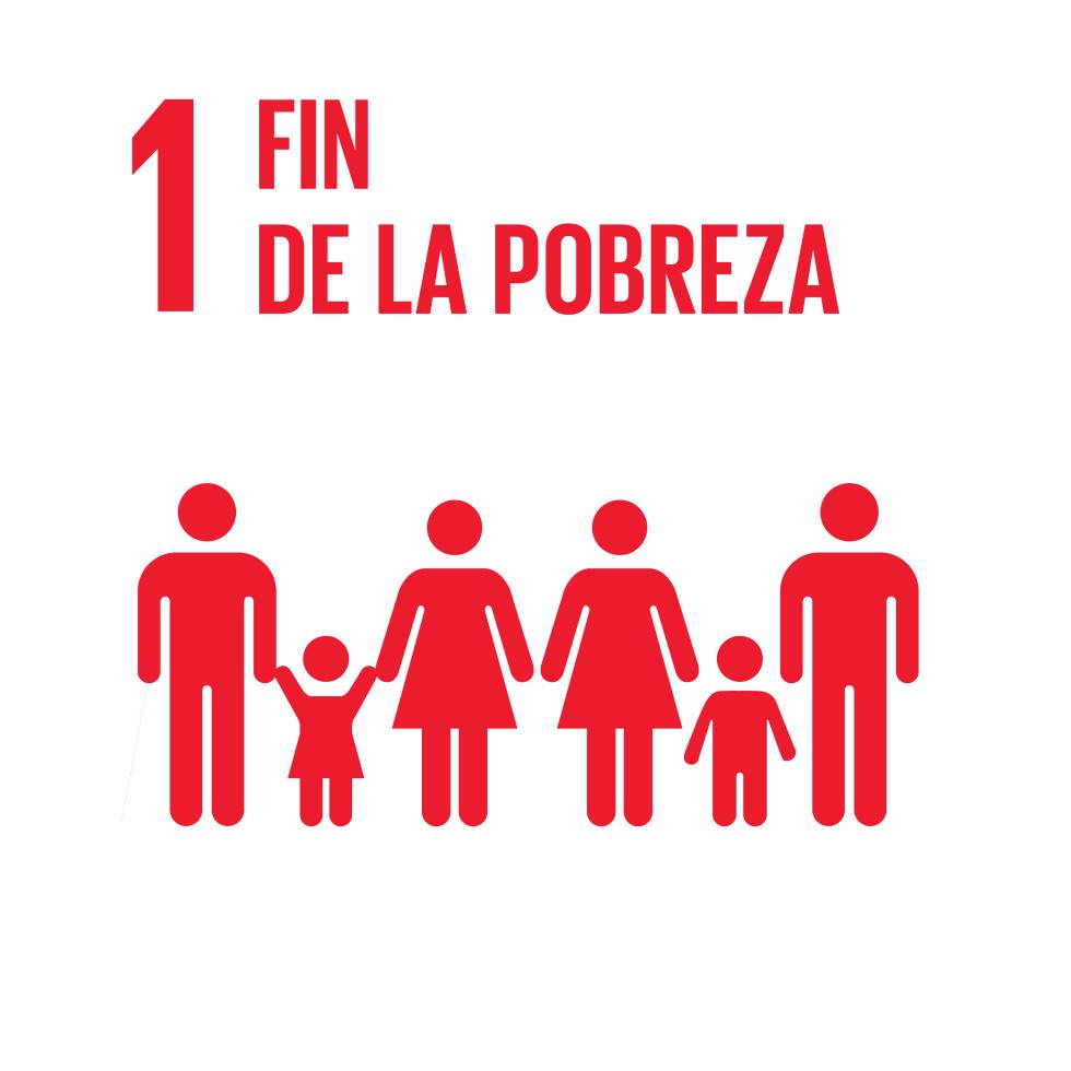Divisas alternativas para lograr los Objetivos de Desarrollo Sostenible