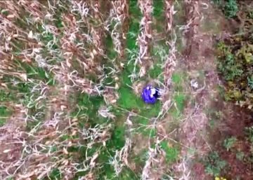 La exitosa búsqueda de una anciana perdida gracias a un dron