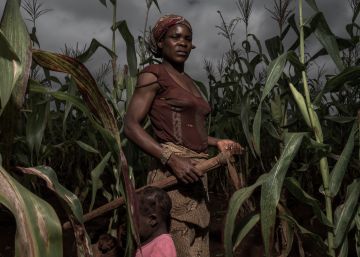 O fiasco de um programa sueco para ajudar os mais pobres em Moçambique