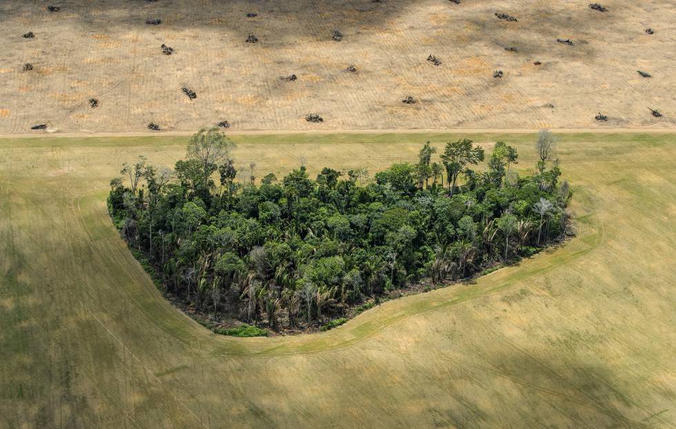 La agonía de la Amazonia en 12 imágenes